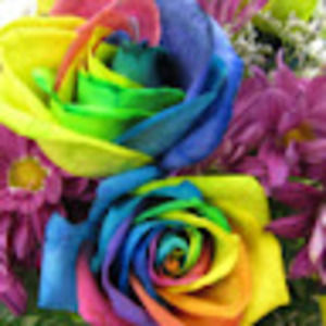 Meet your Posher, Leslie